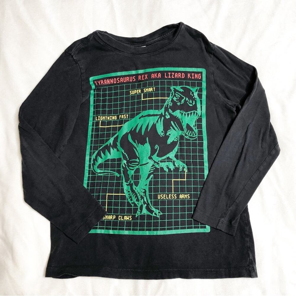Hanna Andersson boys gray green dinosaur long‎ sleeve tee size 130 or US 8